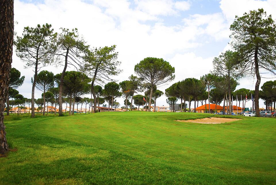 Tree-lined golf course green with a flag, a sand bunker and clubhouse buildings in the distance.