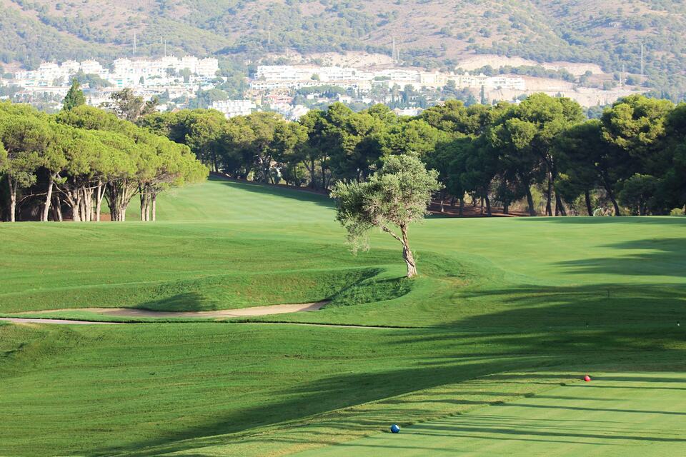 Hole 1 fairway with a bunker, a lone tree and hills beyond at Golf Torrequebrada