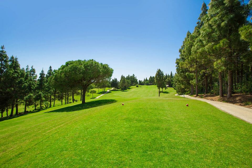 Golf hole with a wide fairway lined by pine trees and tee markers in the foreground
