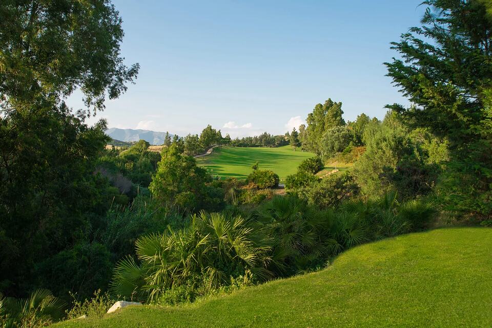 A tree-lined golf fairway framed by dense greenery, with distant mountains under a clear sky.