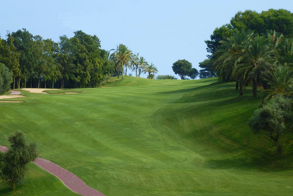 Hole 17 fairway bordered by trees and palms, with sand bunkers on the left.