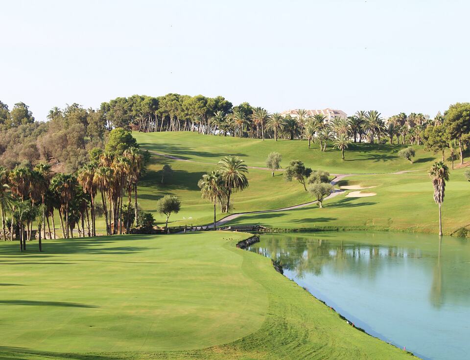 Golf course hole with a pond in the foreground, palm trees, bunkers and a green hillside.
