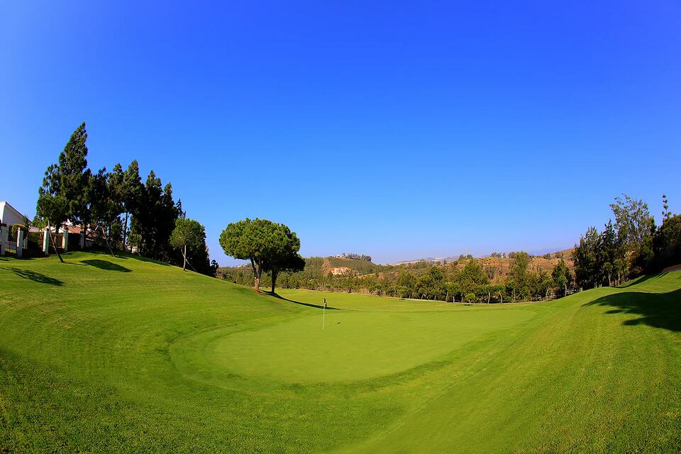 A golf green with a flag, surrounded by grassy slopes and trees.