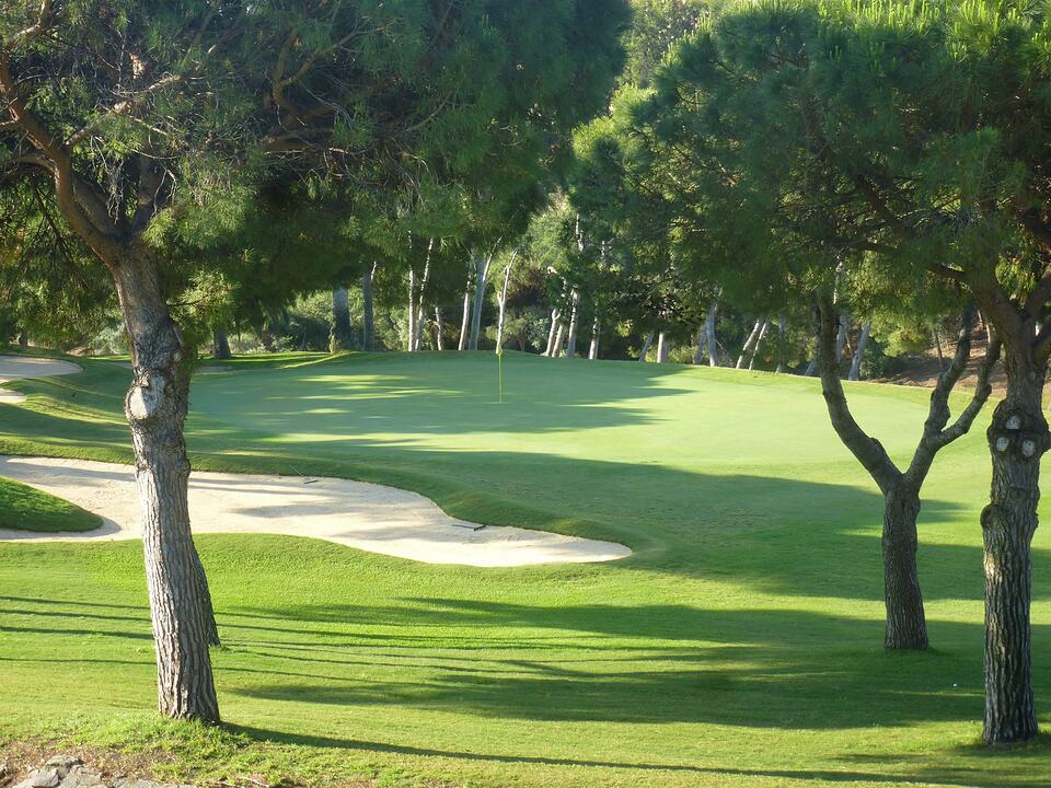 A green with a flag and sand bunker, framed by pine trees.