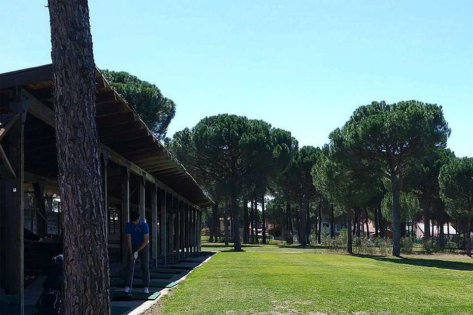 A golfer practices at the driving range beside a row of covered hitting bays and pine trees.