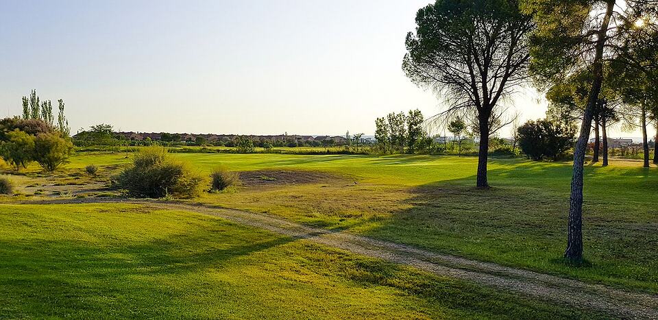 Sunlit golf course with a broad green, scattered trees and a sandy path.