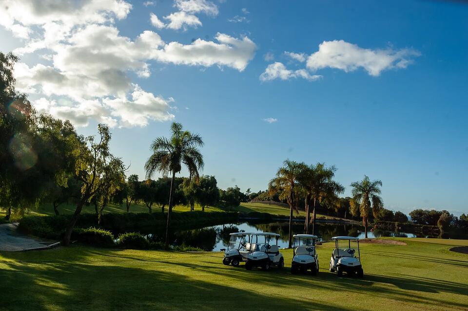 Golf carts parked beside a fairway and pond lined with palm trees.