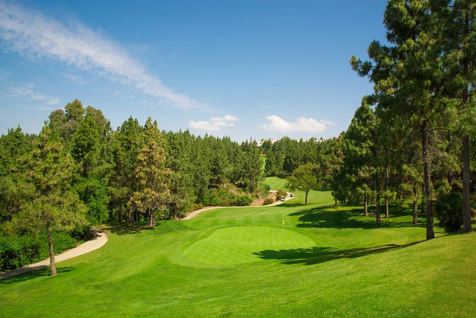 Golf hole with a green, fairway and pine trees