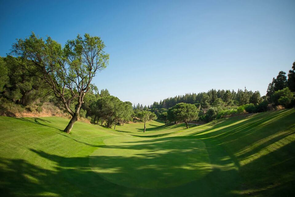 Tree-lined fairway winding through a green golf course
