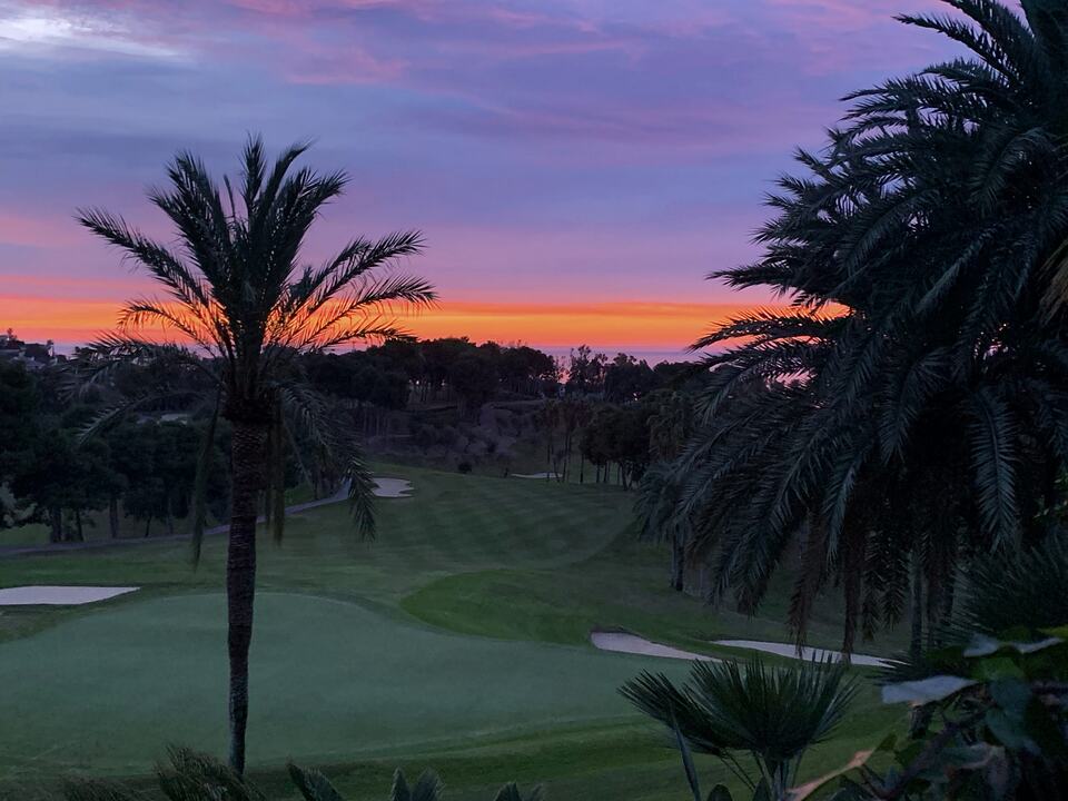 Golf course framed by palm trees beneath a vivid sunset sky