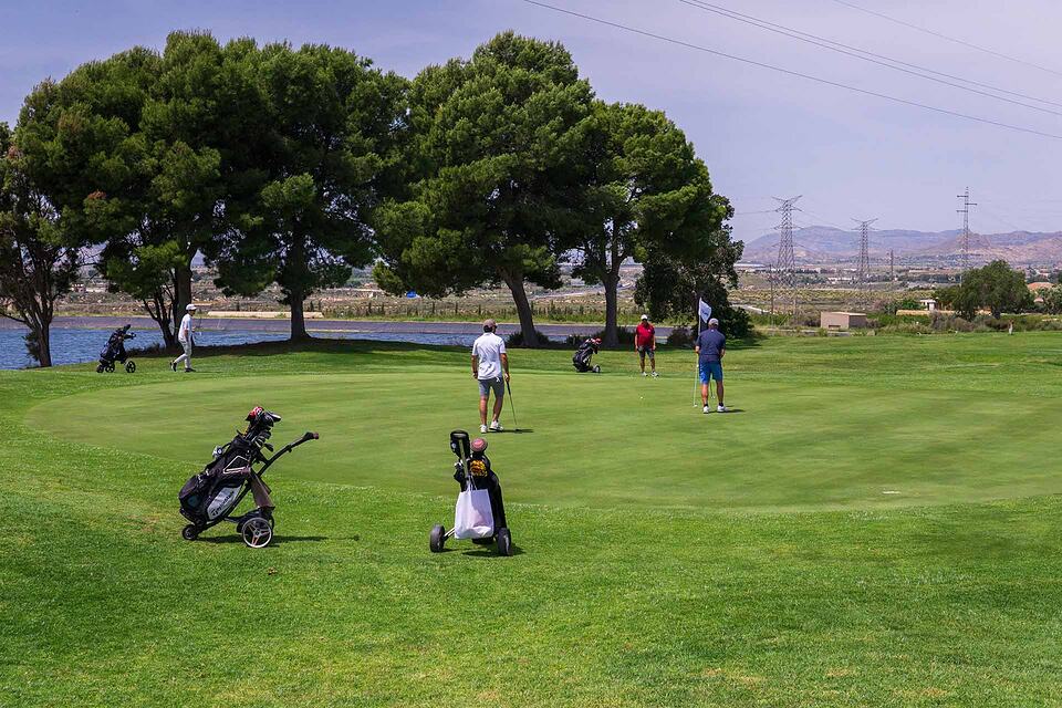Golfistas y bolsas en un green rodeado de pinos, con colinas al fondo.