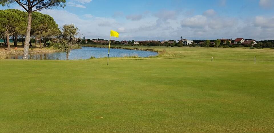 Golf green with a yellow flag beside a pond and pine trees at Aldeamayor Club de Golf
