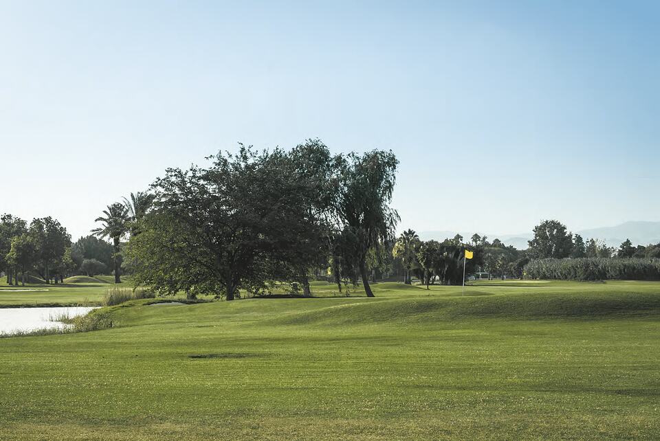 A par-3 green with a yellow flag beside a pond and mature trees.