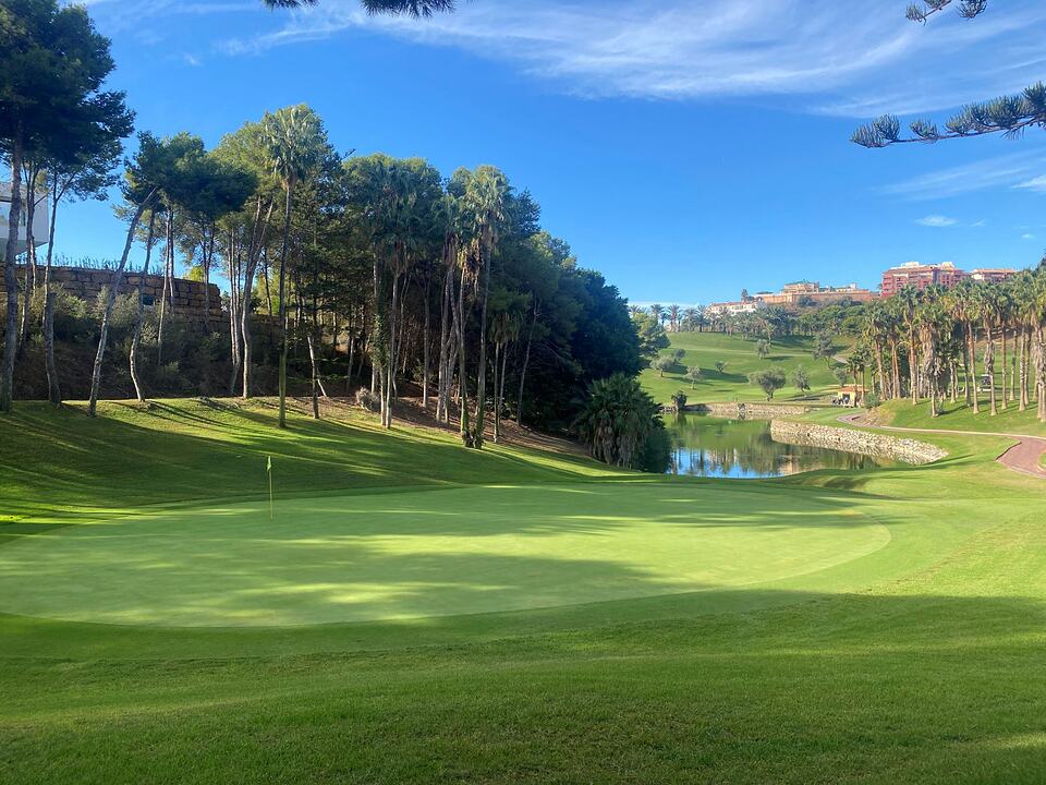 Hole 11 green beside a pond, framed by pine trees and palm trees at Golf Torrequebrada.