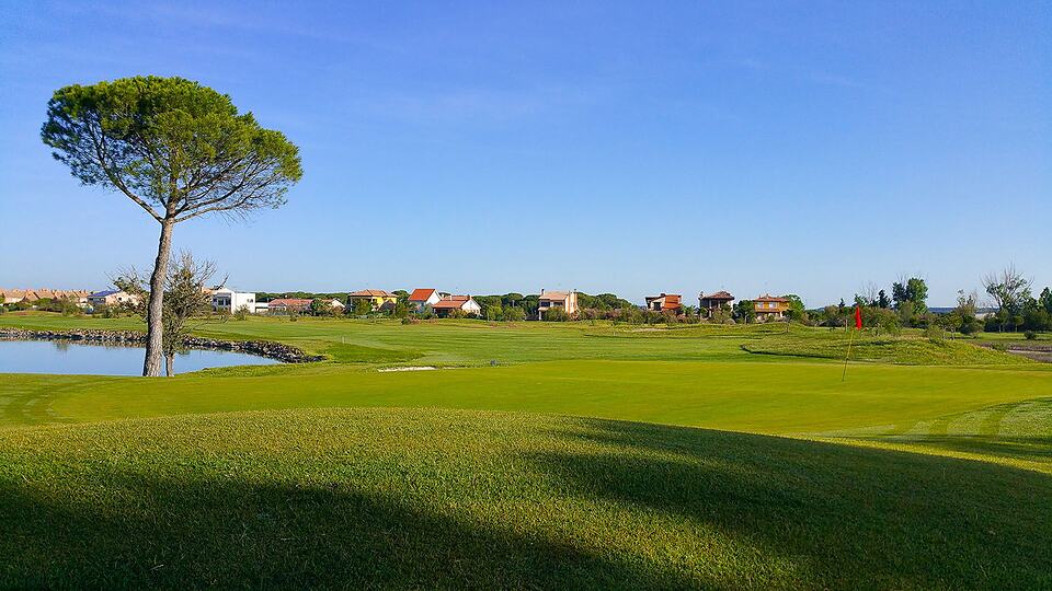 Golf course fairway beside a pond, with a lone tree and houses in the distance