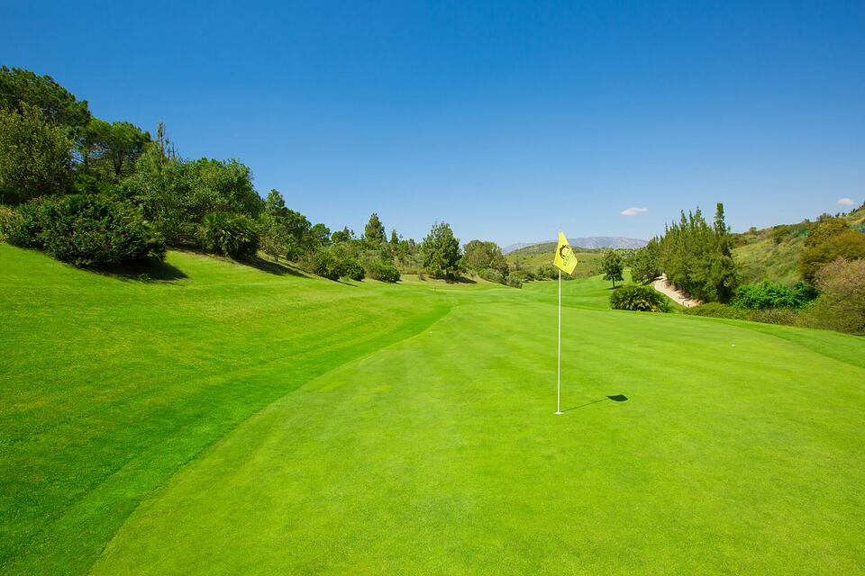 Golf hole with a flag on the green, surrounded by fairway and trees.